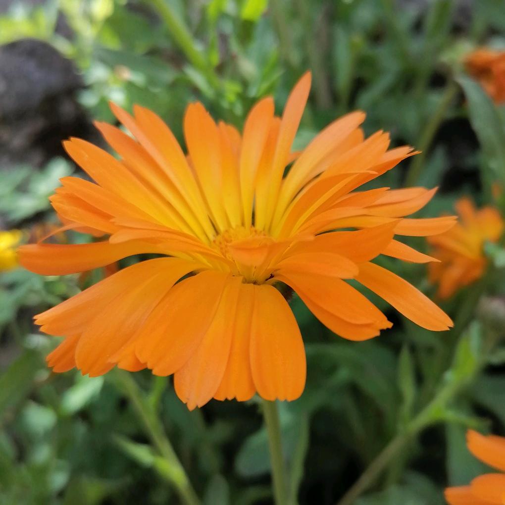 碎了时光暖了情殇