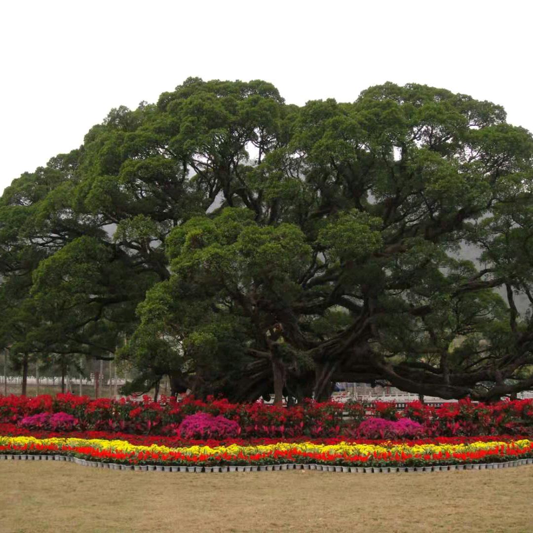 但行好事，莫问前程