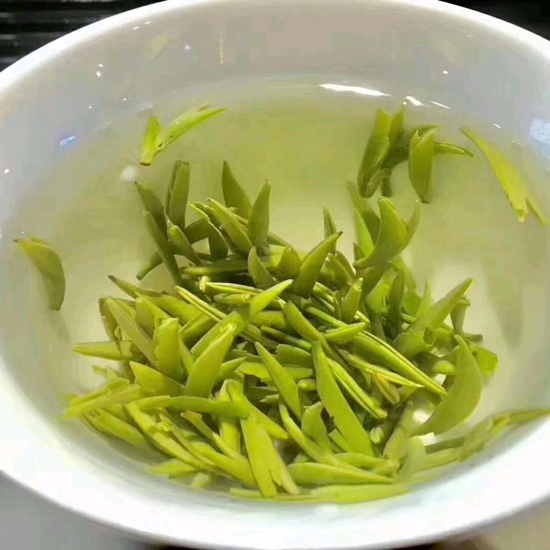 墙脚哥。。。