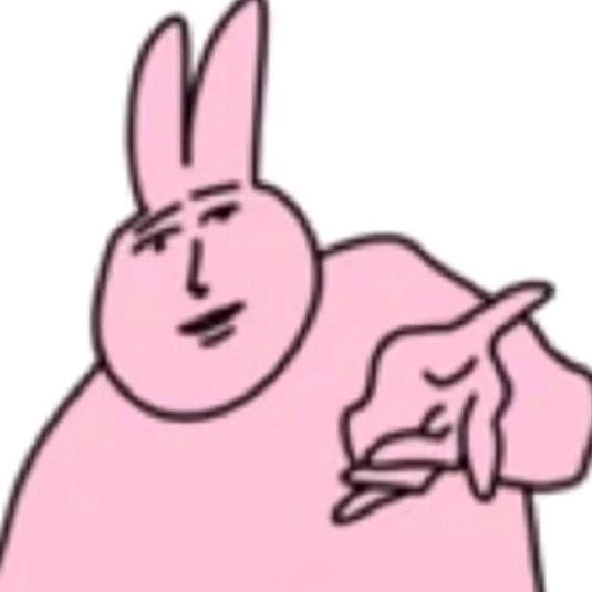 南言V