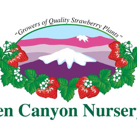 拉森草莓李日俭