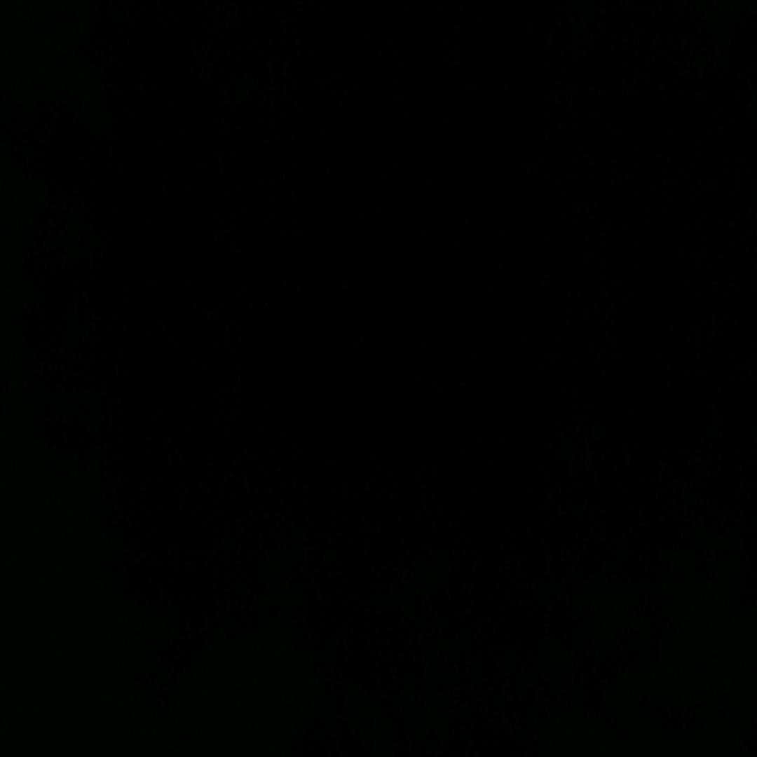 愿佛渡我