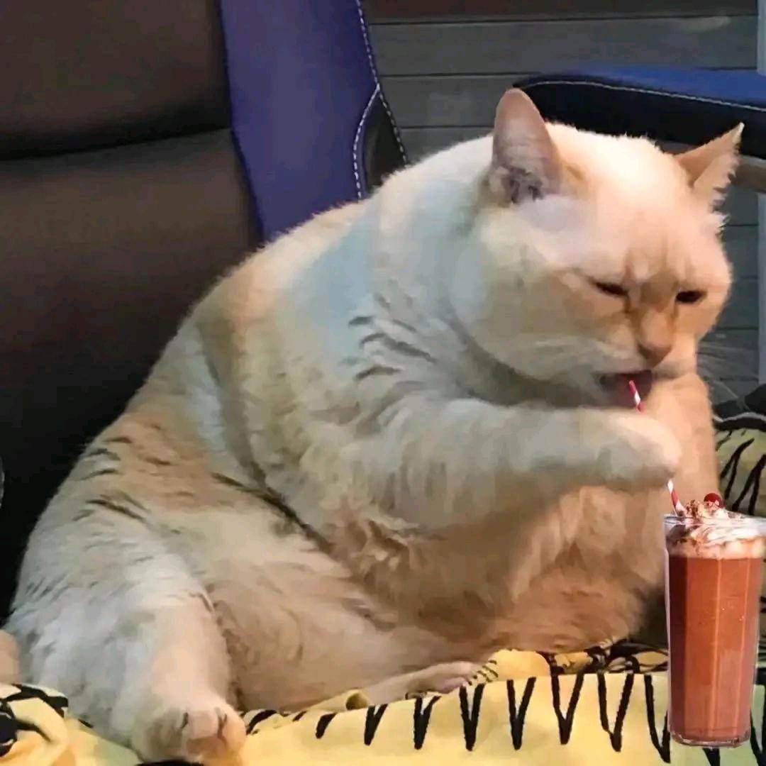 睡眠不足贰拾肆