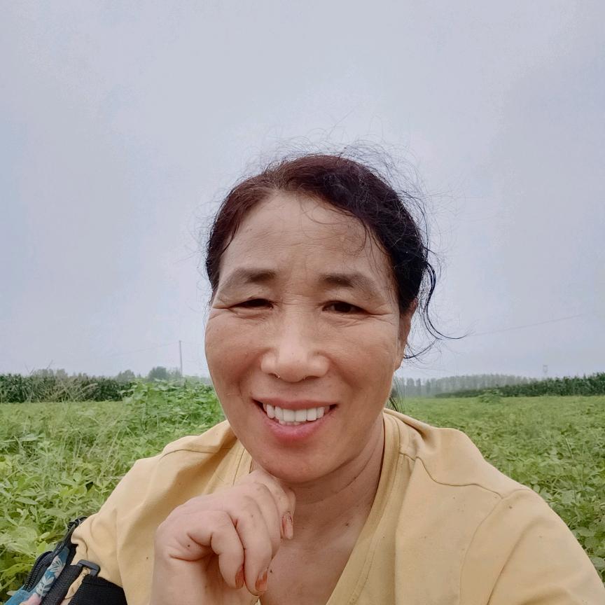 空心菜~橱窗好物推荐