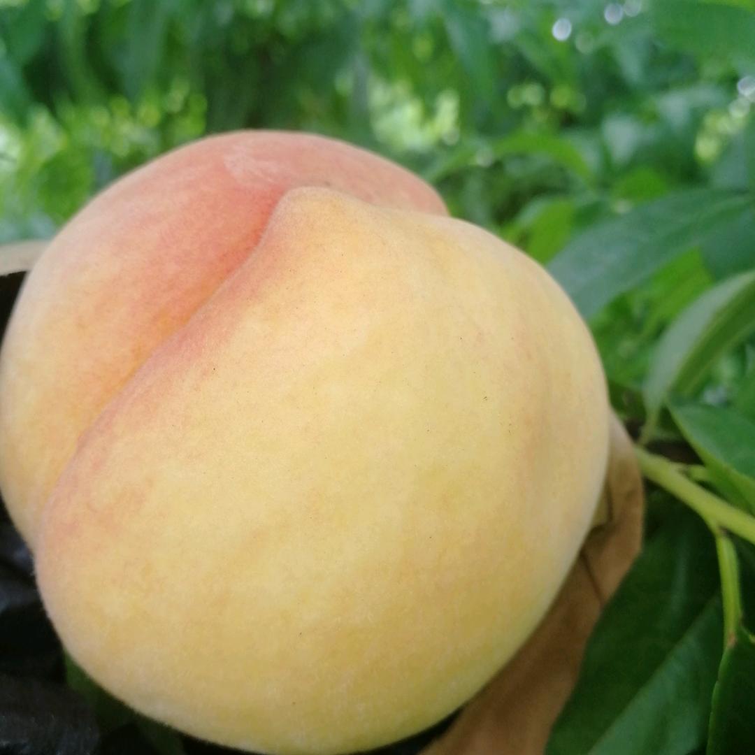 天门市志波家庭农场官方号