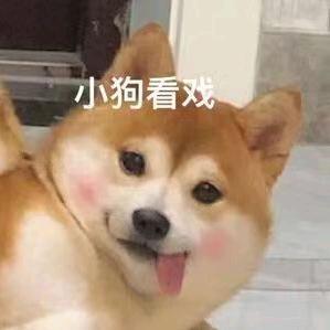 今天开心明天暴富