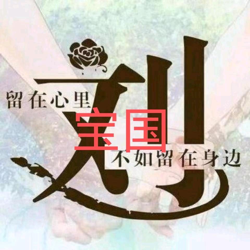 刘宝国