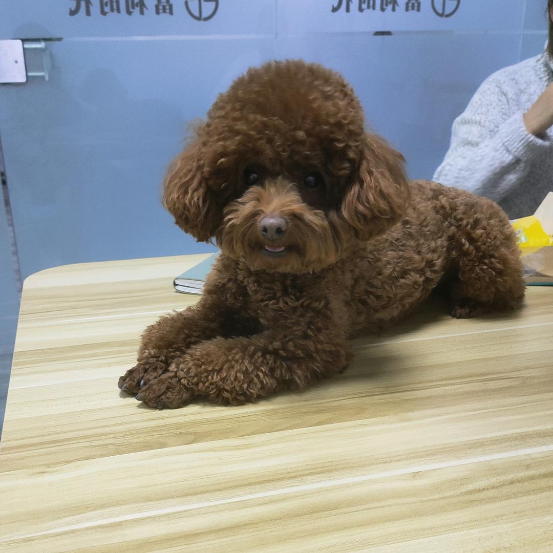 你想咋滴