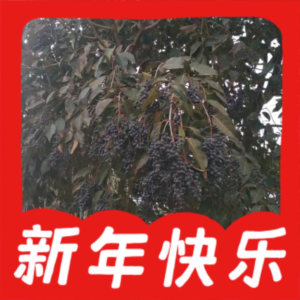 水滴石穿