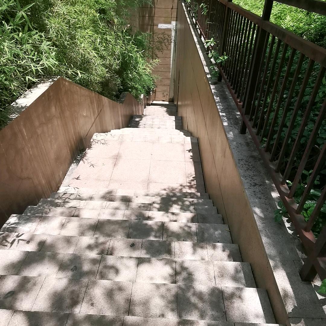 刘百万