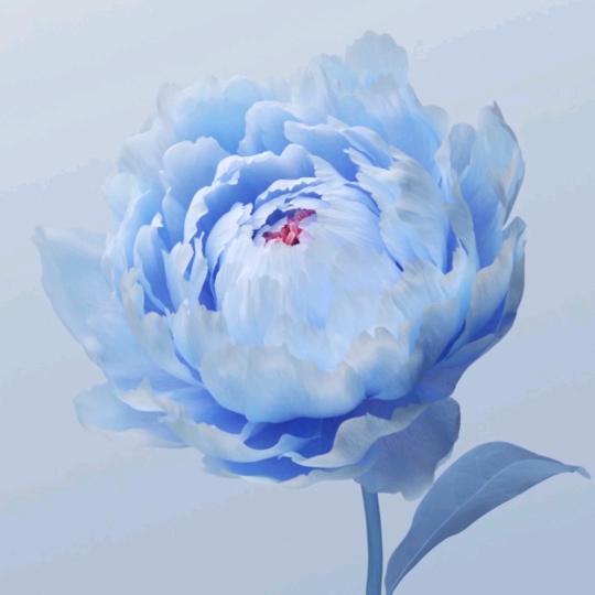 🌈冰糖葫芦🌈