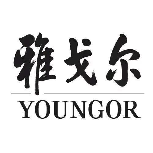 雅戈尔男子旗舰店