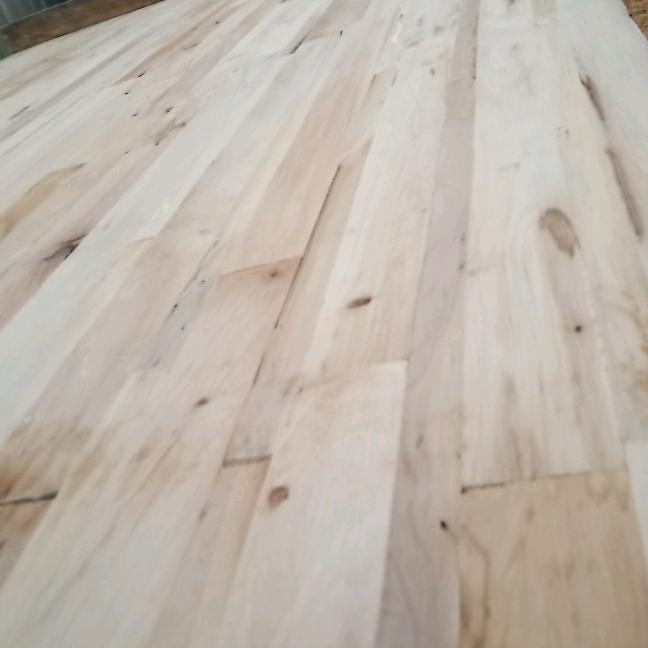 我一见你就想笑，鲁菏沐森