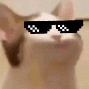 _Kensh1n