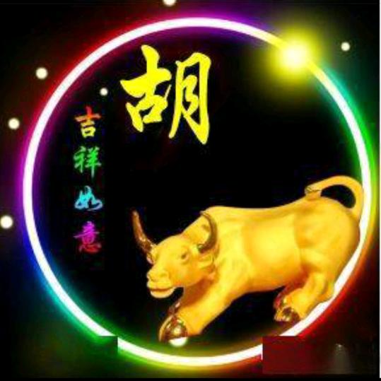 唐河生猪贸易（胡海洋）