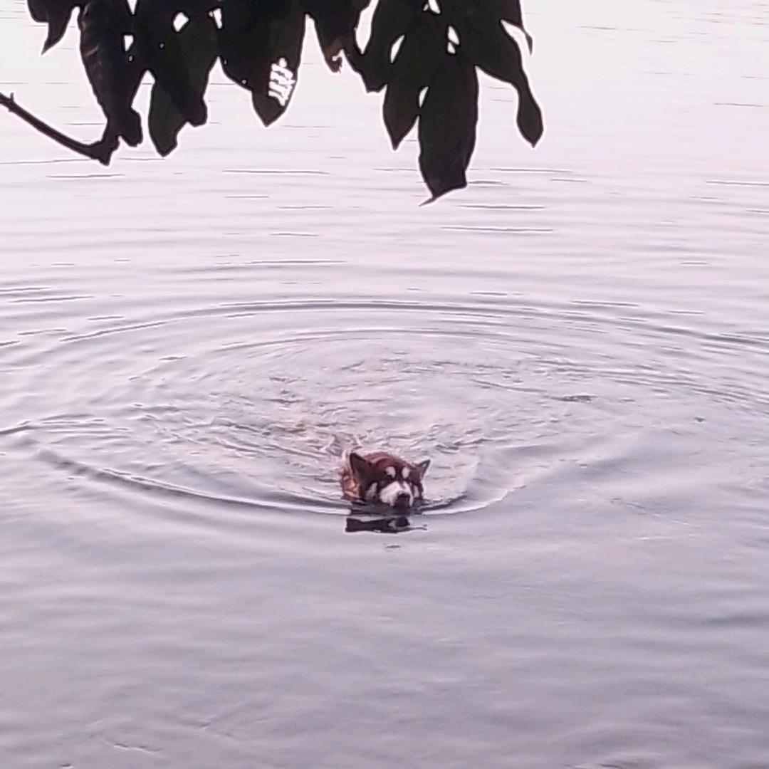 芊姿商行(朗晴馨洲店)芊姿商行(朗晴馨洲店)直播号