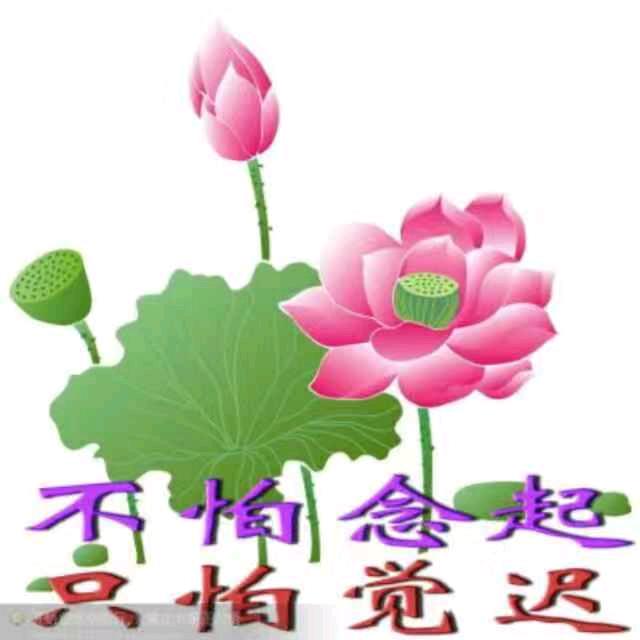 泓一