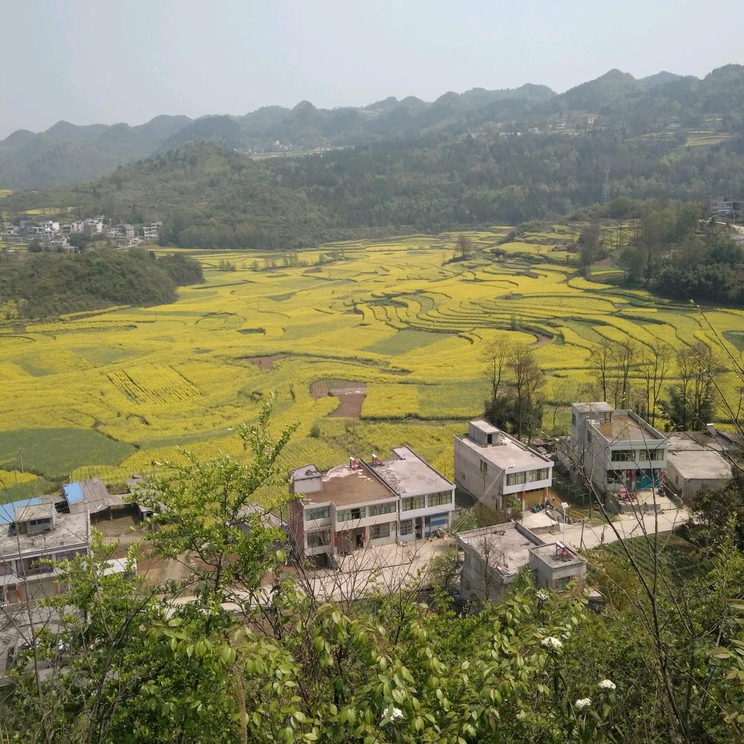 王佳养殖场