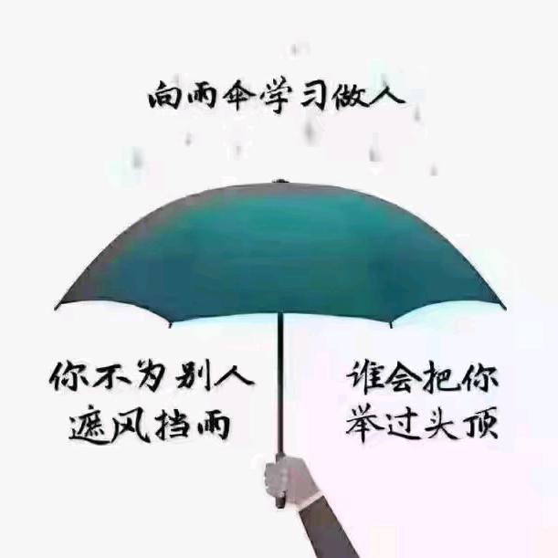 🌻心有阳光🌾