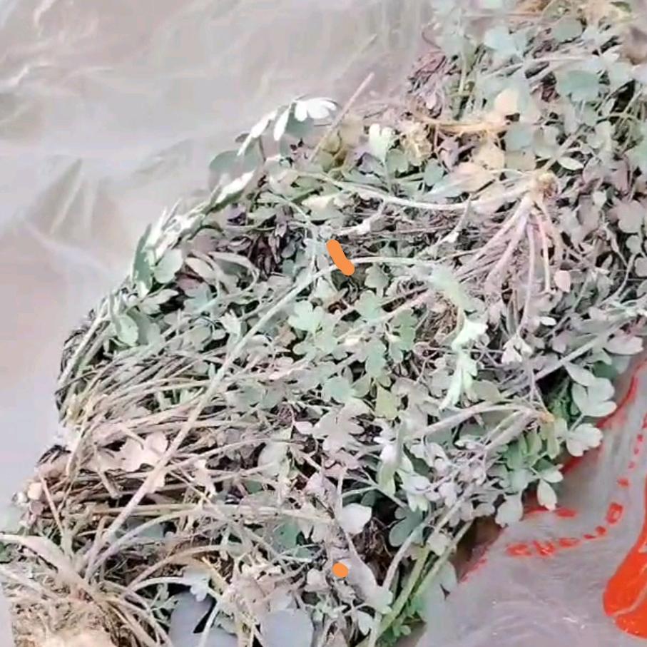 三锅鲜