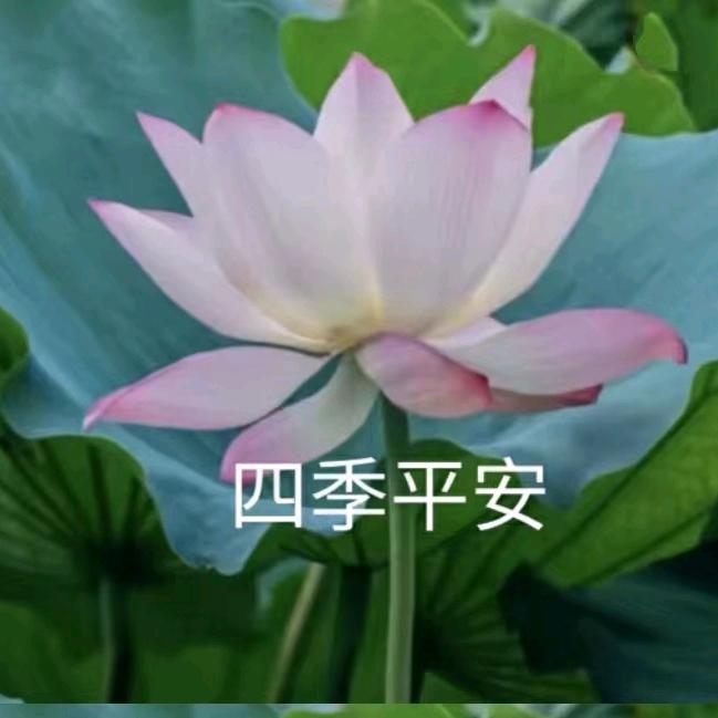 小辣椒@@