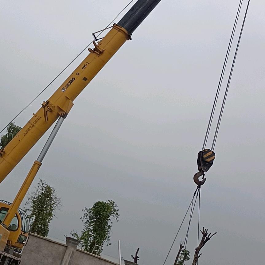 胡建荣种植原生态高山油茶