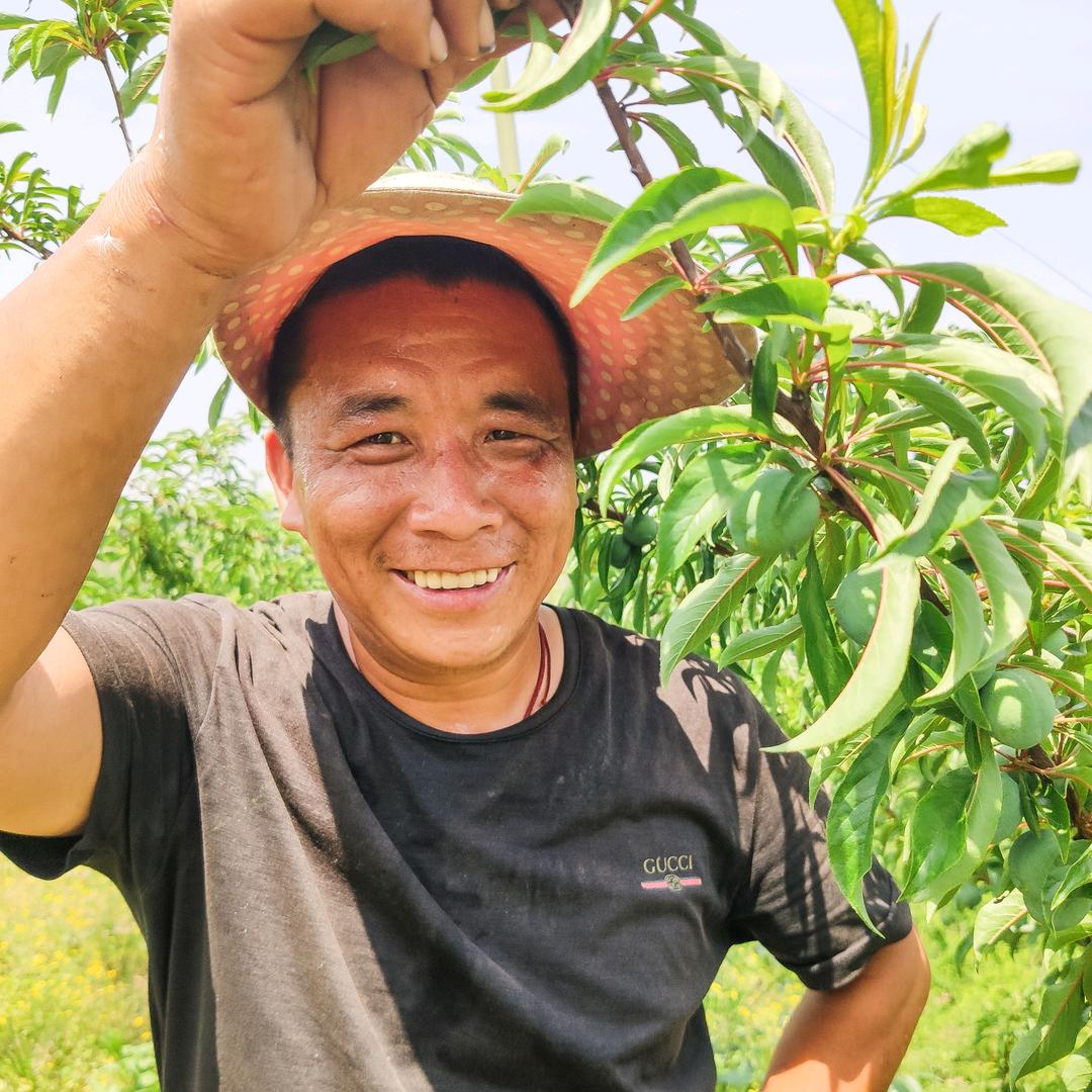 渝李相缘-重庆山外有李李子种植专业合作社