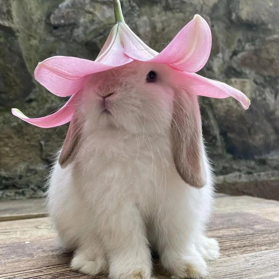 余余
