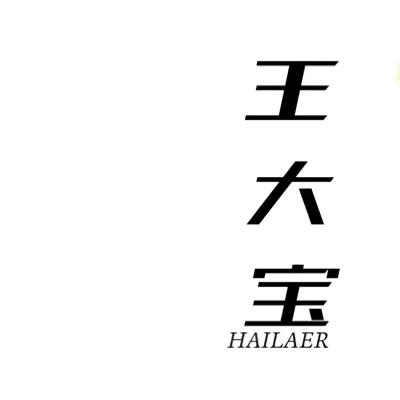 王大宝