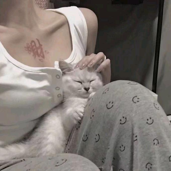 呼叫米线.