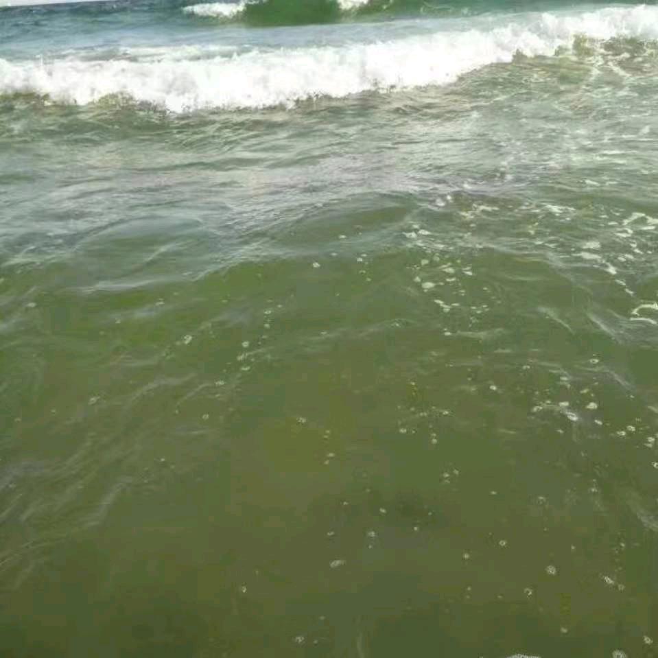 川🍀哥