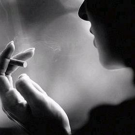 欣岳为伴☆懿璐同行🐒