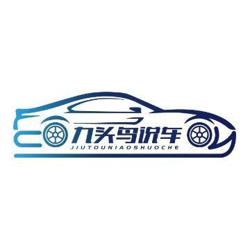 九头鸟二手车