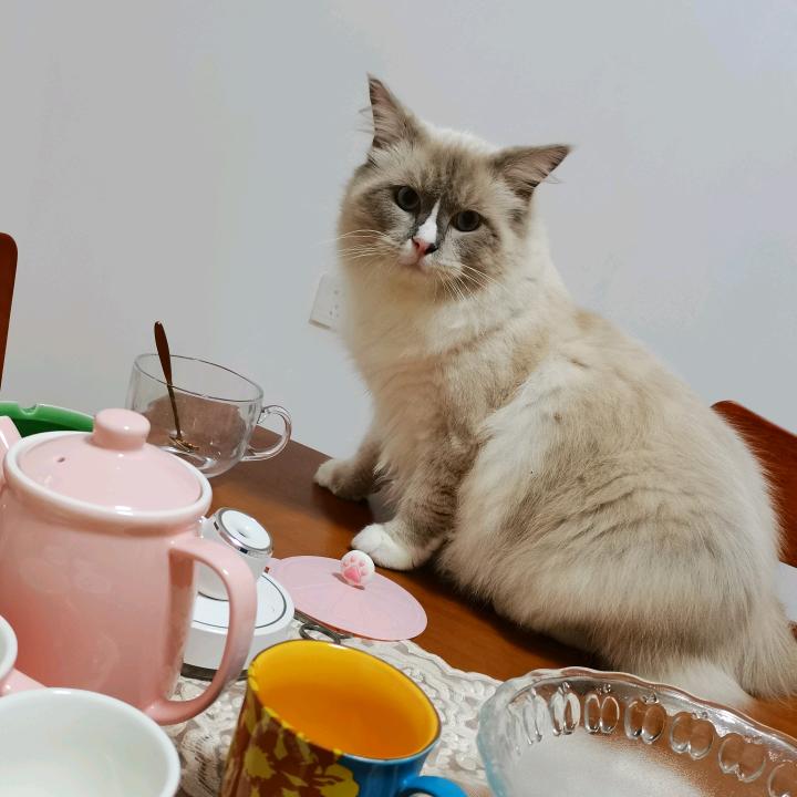 敏鑫