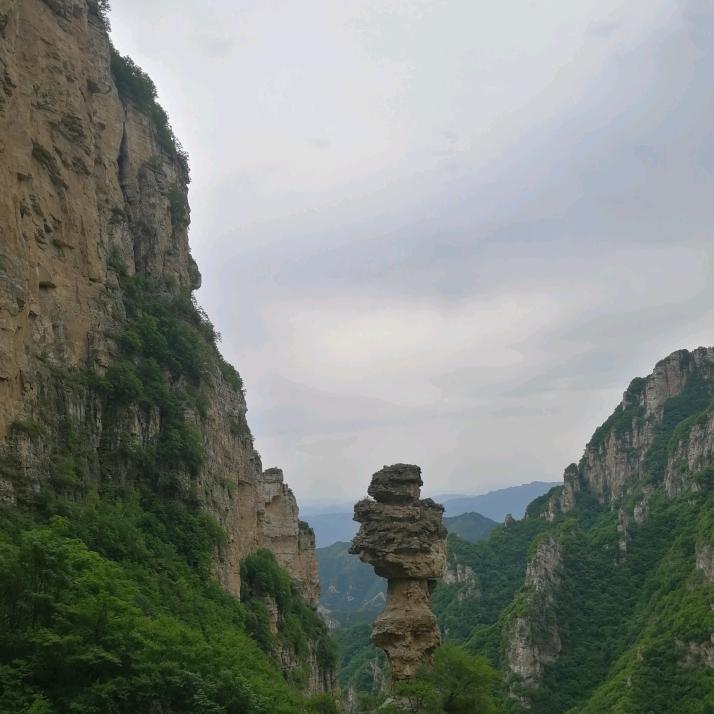 用户Wjg9090539120799