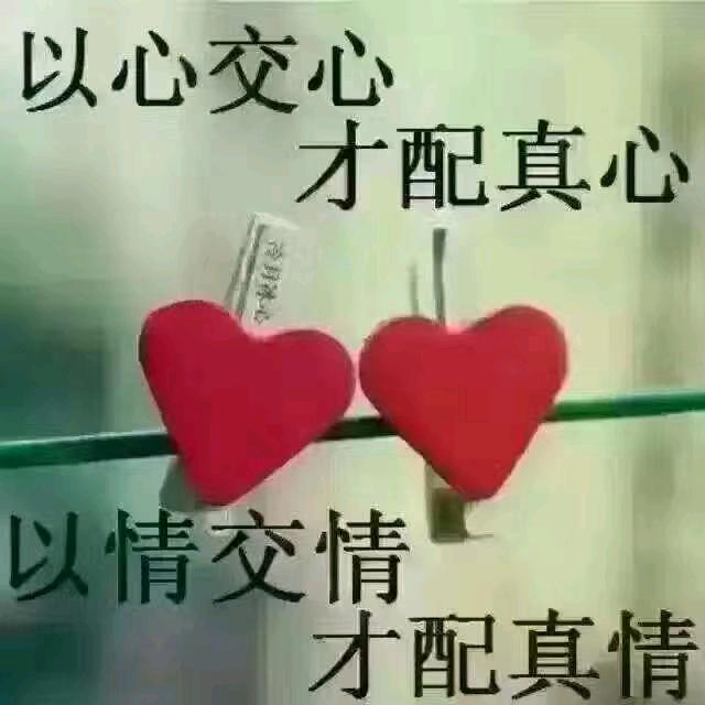 燕子💋