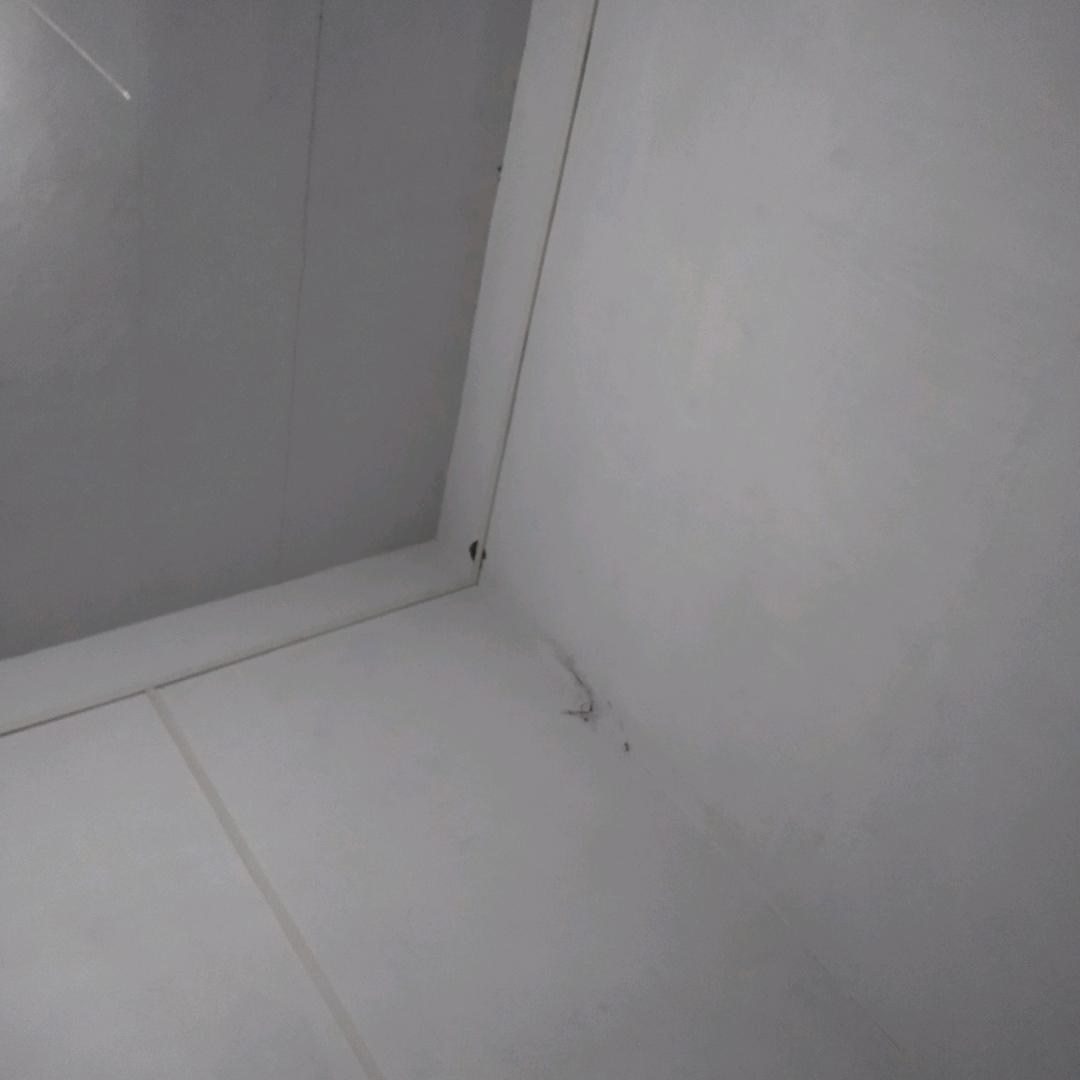 贵勤