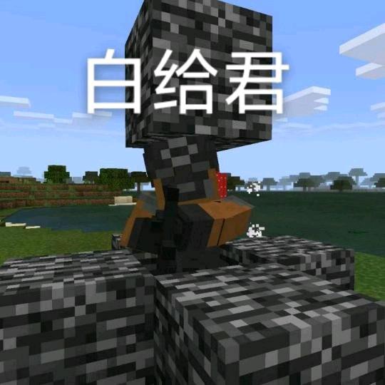 SCR白给君