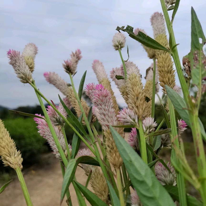 天涯海角