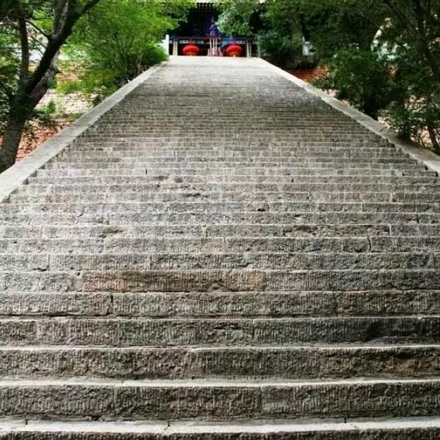 玉兔