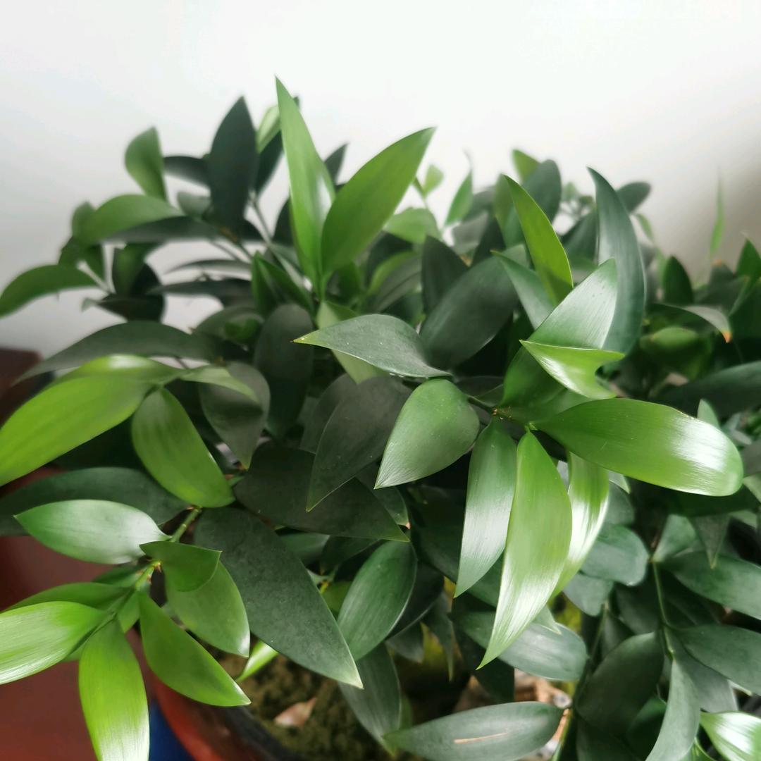 秋天