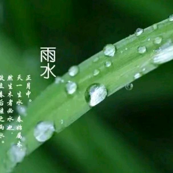 雨水