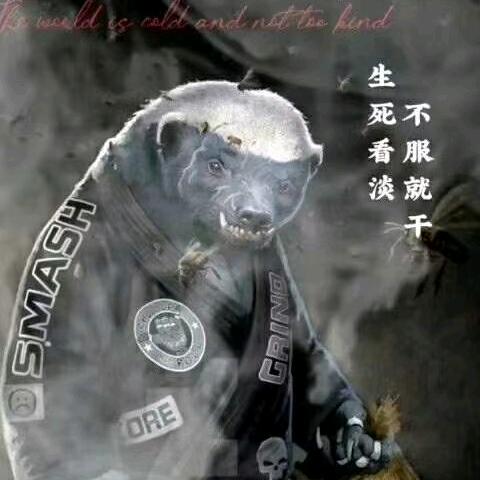 ℳঞ悲欢 ꦿ自饮  ໌້ᮨ꧔ꦿ᭄