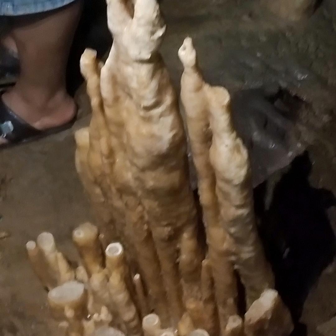 魂