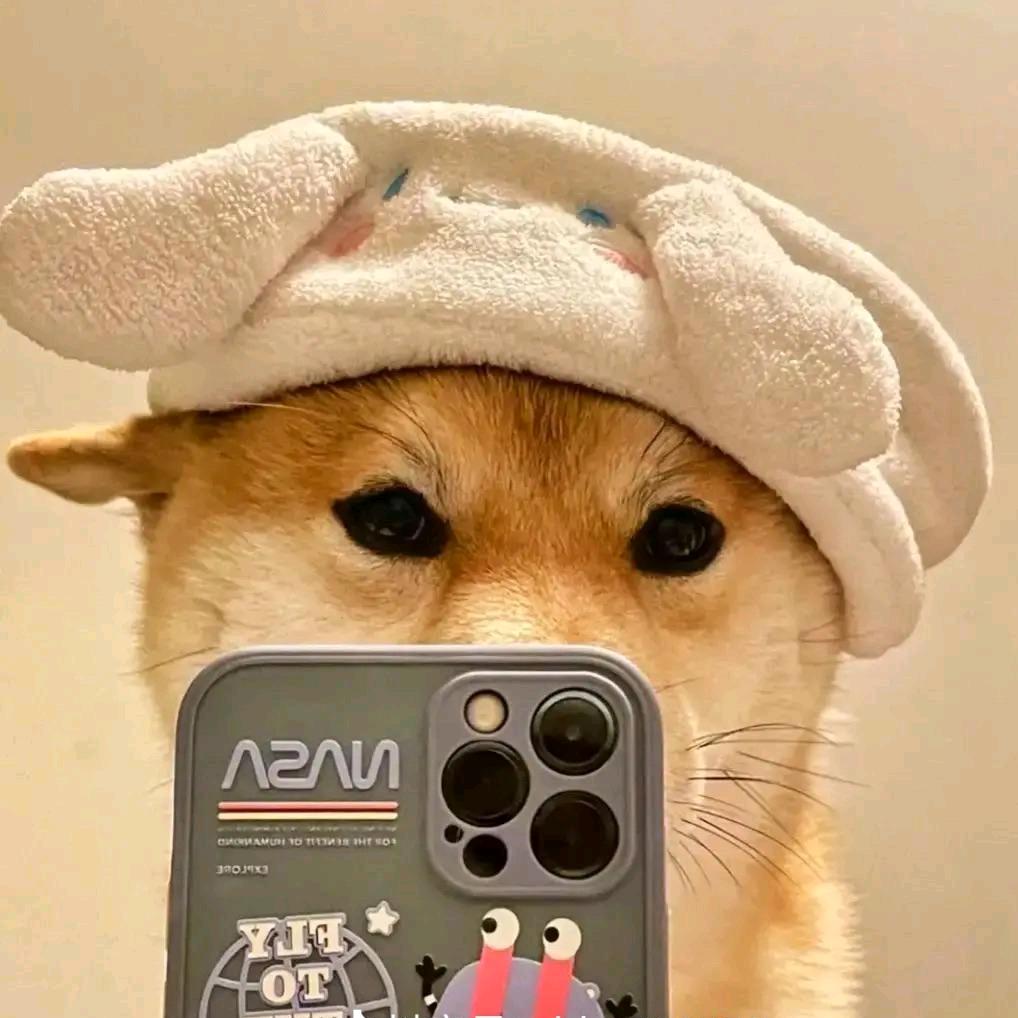 𝐿𝒾𝓋𝑒𝓁𝒾𝒻𝑒😎᭄