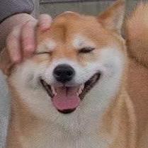 七七点