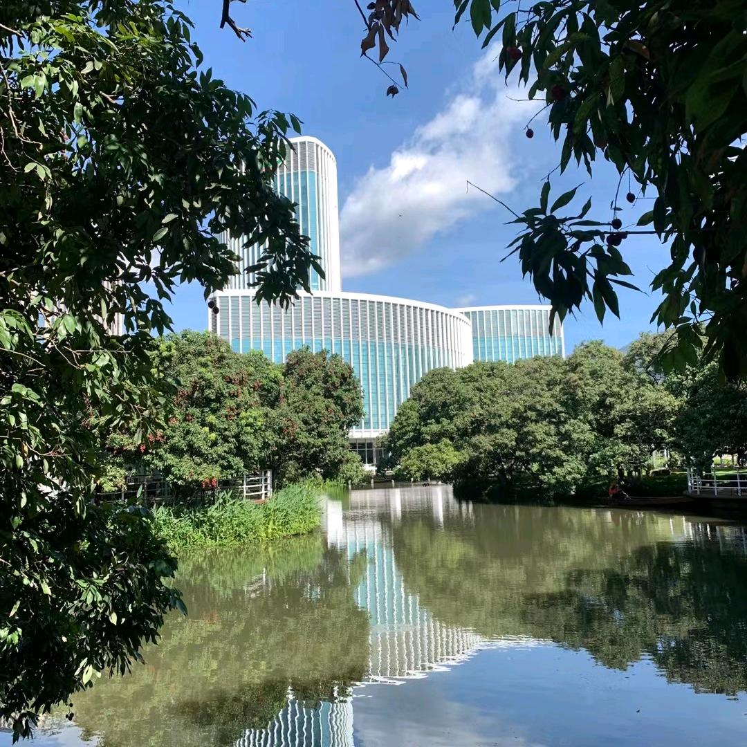 奔向大海的山贼