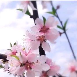 守住初心  始终如一（守一）