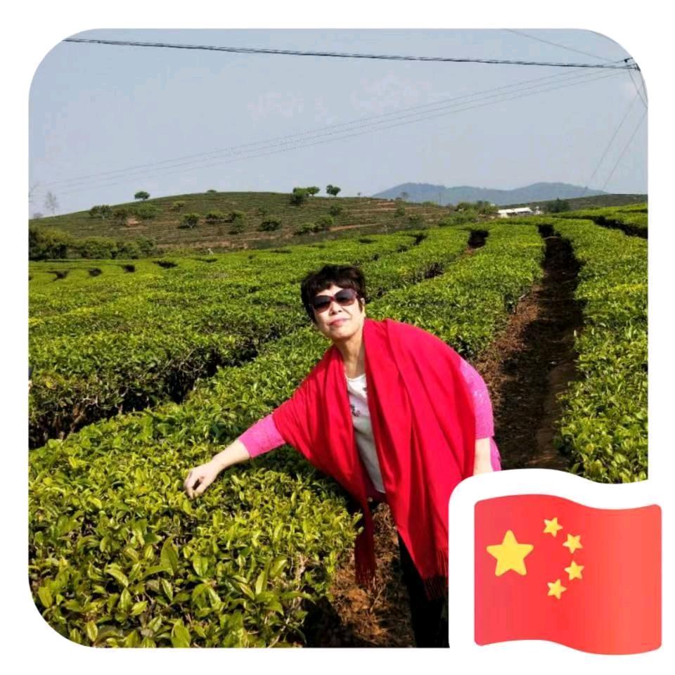 侨侨好物