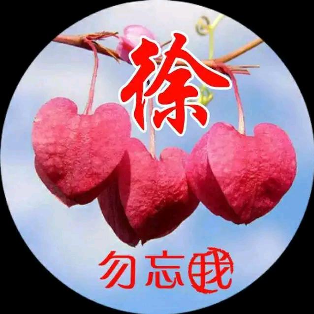 香雪海